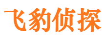 会同市私家侦探